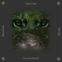 Chris Lake - Can You Feel It?