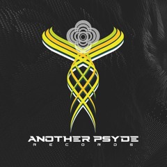 Ryanosaurus - The Birds And The Bleeps (Annakkim Remix) Coming soon Another Psyde Records