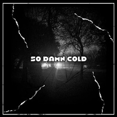 So Damn Cold