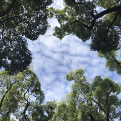 bad.but,ok （demo）