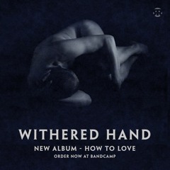 Stereo Embers The Podcast 0336: Dan Willson (Withered Hand)