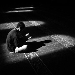 الشيخ محمود هاشم ( الاحتكار )