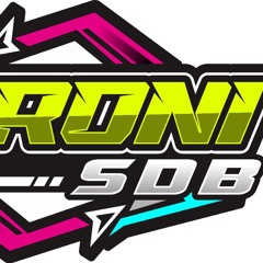 PACAR RONI HILANG DI AMBIAK URANG - 2025 [ ALDO REMIX x DJ RONI SDB]#LOCK!!!