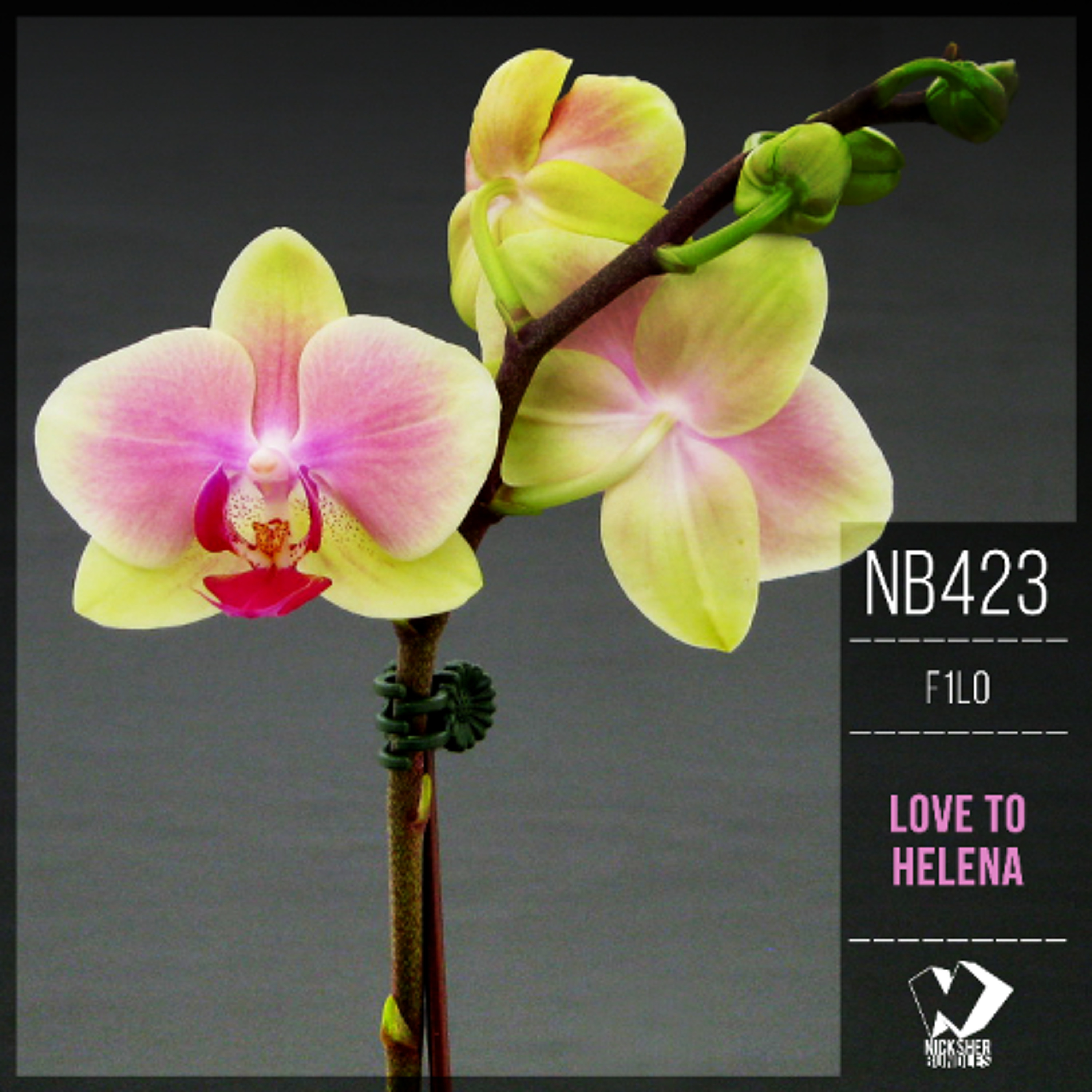 F1lo - Nicole's Whirlwind Always Run (Original Mix) episode artwork