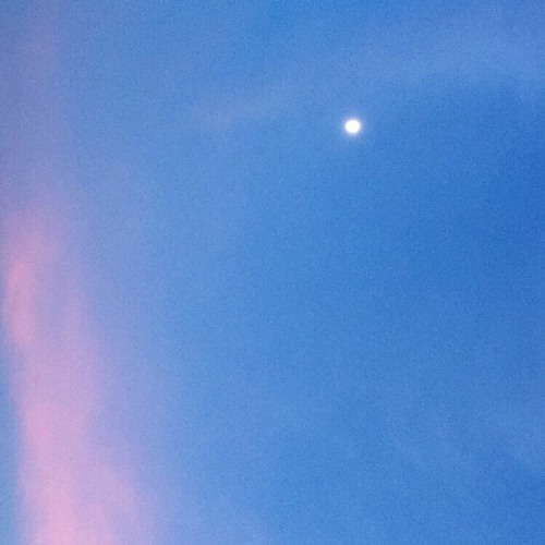 8/3doahoa - huy son x ngduykhanh