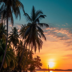 Chasin Paradise🌴 Hollywood x Moduffled