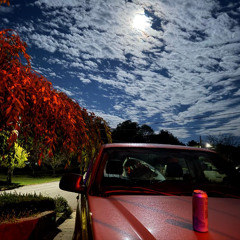 Autumn Vibes and Moonlight Drives
