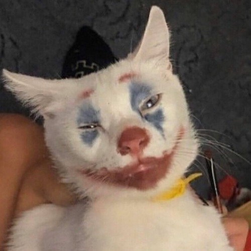 Stream Попугай Флексит Под Ты Кто Такой Давай До Свидания By.