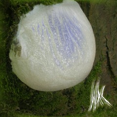 UNIZONE: WAC© [s02e05] 𝕳𝖆𝖕𝖕𝖎𝖓𝖊𝖘𝖘 L̶ ̶I̶ ̶V̶ ̶E̶