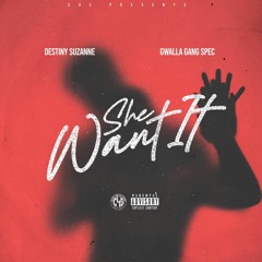 SHE WANT IT x Destiny Suzanne x GwallaGangSpec #C4S