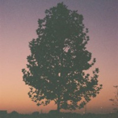 what a japanese beetle sounds like to a rose