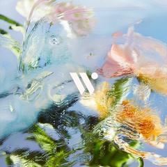 Odyssey 15 by Werner (Melodic Techno, Afro House)