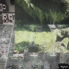005 Cave Moss