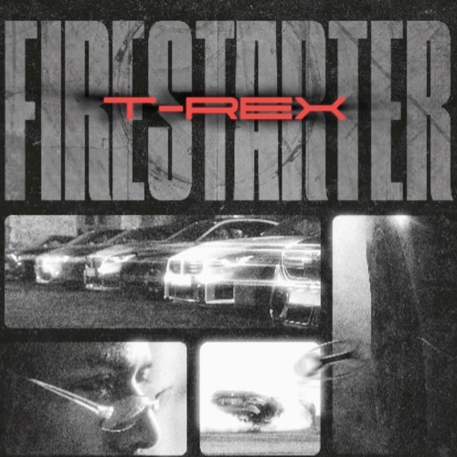 Karan Kanchan - FIRESTARTER (T-REX REMIX)