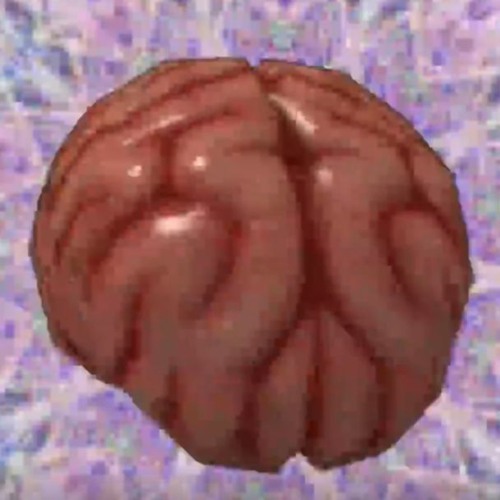 Phantom Brain