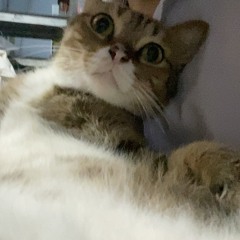 DẤU YÊU - EREN x fishy