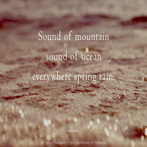 halF everywherE [naviarhaiku487]