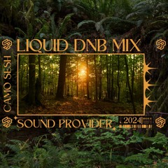 LIQUID DNB MIX | 2024 | SOUNDPROVIDER #edm #liveset #liquid #jungle #liquiddnb #dnb #drum&bass