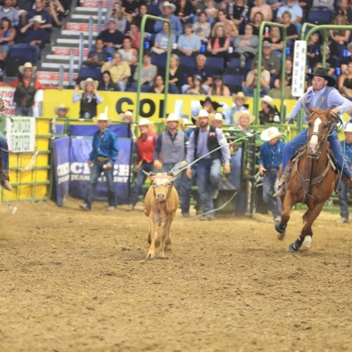 Stream College National Finals Rodeo (CNFR) 2023 Live by CNFR2023