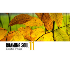 Roaming Soul Mix series