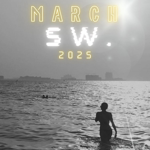 BREAKBEAT 2025 #REQ SW VOL.03