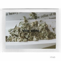 cynd x white widow