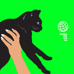 Kowloon (feat. ned, wu, & LBS)