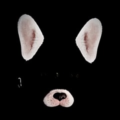 moth on a bus window (original scrapped song)