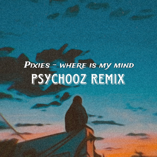 Where Is My Mind (ACID TEKNO REMIX)