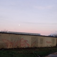 Sag es keinem
