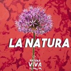 Ατικ - Nalia ( Original Mix )    Natura Viva      | Aplethora Music |