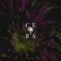 Gabriella Vergilov - Svetlina (Original Mix)- Ceiba Records [PREMIERE]