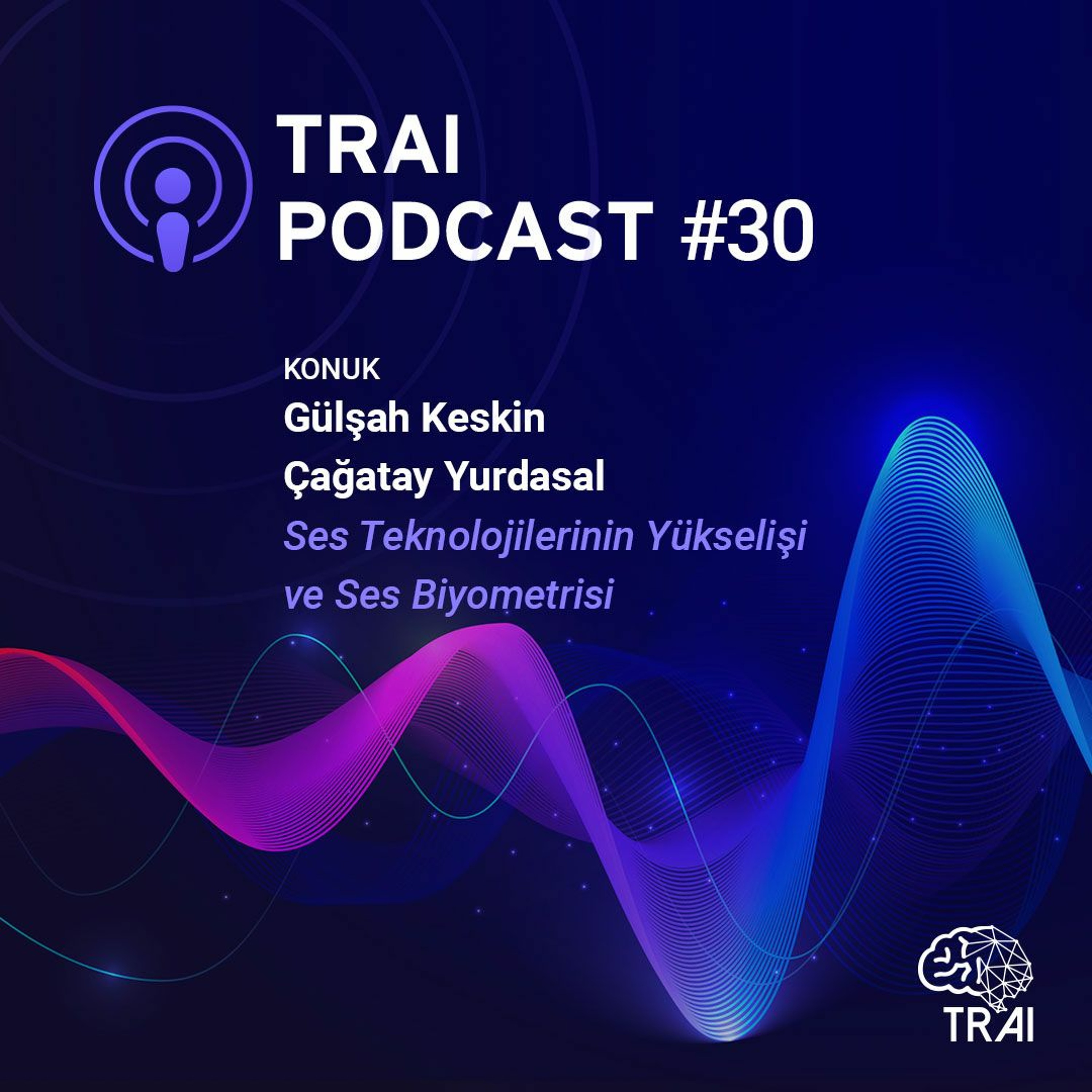 Türkiye Yapay Zeka İnisiyatifi