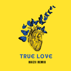 Enzo Siffredi, Joezi, Rody Joh - True Love feat. AKIKI (Haizii Remix)