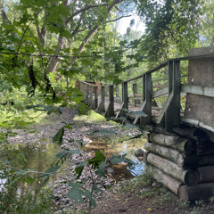 Matthew & Friends Gap Year Mixtape