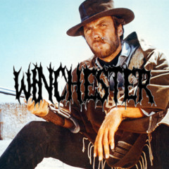 winchester (acoustic cover)