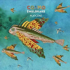 Cosmo Sheldrake - Pliocene - Qobuz Session