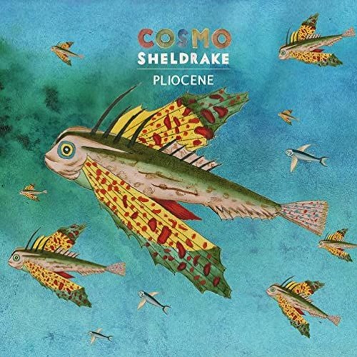 Cosmo Sheldrake - Pliocene - Qobuz Session