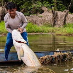 Saving lives in a warming and unpredictable sea