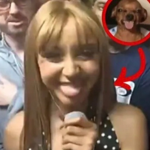 Illegal (DJ DIMAS EDIT)