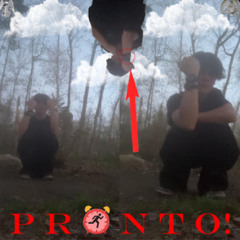 mozart - pronto! prod vemeolesha