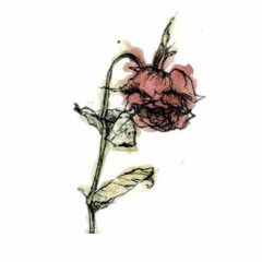Wilted Rose Ft. Childish Gambino