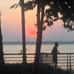Vật Mang