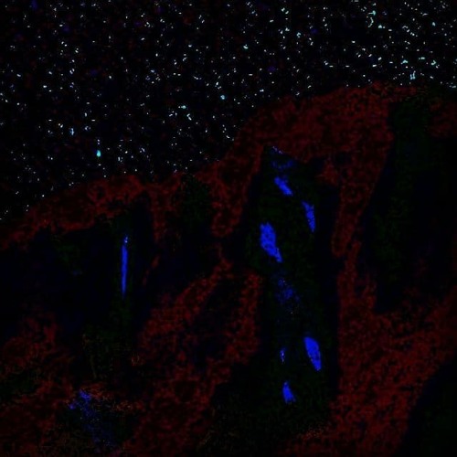 𝔴𝔢𝔢𝔨𝔱𝔬𝔴𝔢𝔢𝔨 [Freestyle]