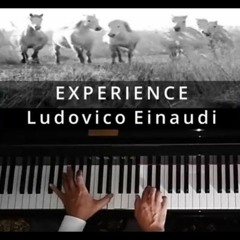 EXPERIENCE music composed by  Ludovico Einaudi. Performer Simone Tango