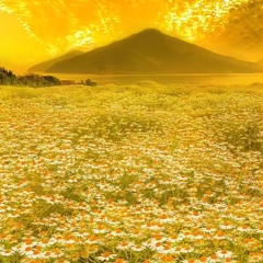 Number - twerknation (Slowed)