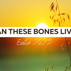 2. The Glory of the Resurrection (Luke 19:28-40)