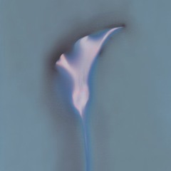 A Cloak Of Elvenkind (Marcy Playground)