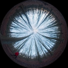 Balenciaga Loop 09 - Iris