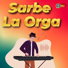 Muzica de Petrecere Colaj Sarbe Acordeon